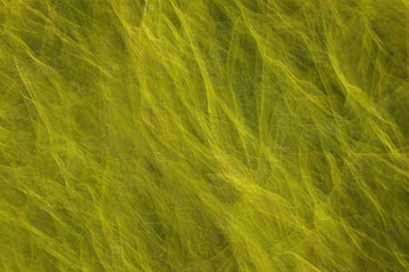 Grunge & rough. Geometric Conceptual background blended messy shapes for design texture.の写真素材