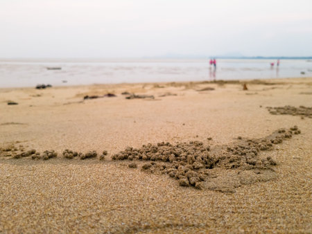 Sand beach, with people as background.