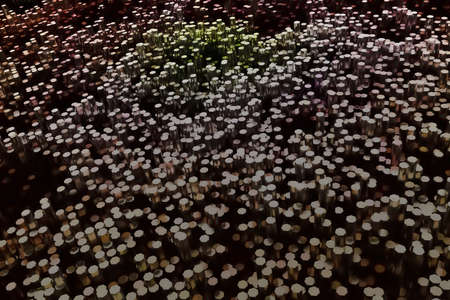 Geometric structure block, illustrations of shape composition, for graphic design, wallpapers, booklets. Colorful 3D rendering.の写真素材