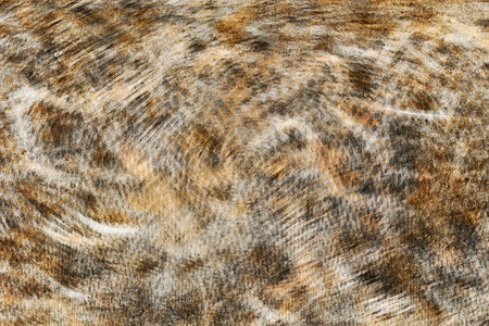Abstract overlay filter effect colorful grunge or rough, artistic for graphic design, catalog,...
