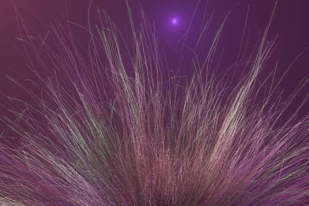 Abstract of fur, dreamy & artistic look background. Closeup, 3D rendering & illustration. Good for book, magazine, catalog cover & design.の写真素材