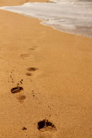 Footprints in the sand Mauiの写真素材