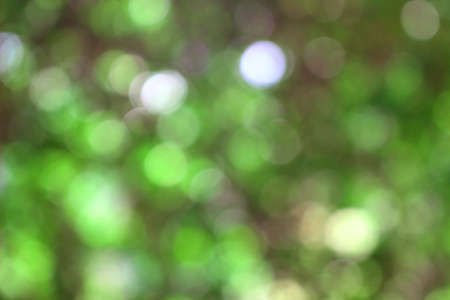 blur image of Abstract Bokeh of green tree color for summer background.の写真素材