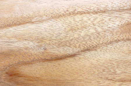 Texture of wood background closeupの写真素材