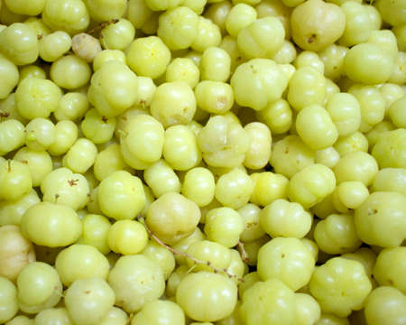 Star gooseberryの写真素材