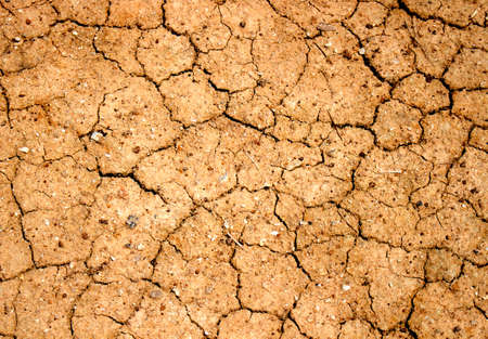 soil drought cracked textureの写真素材