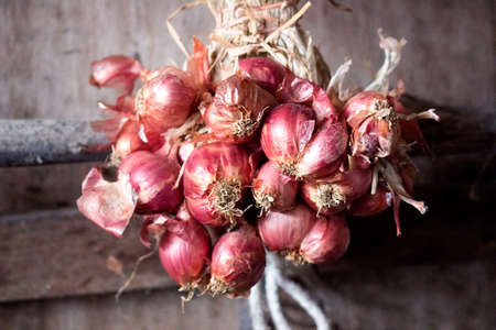 Red of shallot backgroundの写真素材