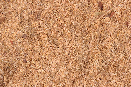 Rice hulls  texture backgroundの写真素材
