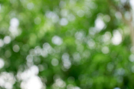 Green bokeh abstract backgroundの写真素材