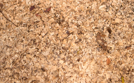 Wood chips texture, natural floor covering backgroundの写真素材