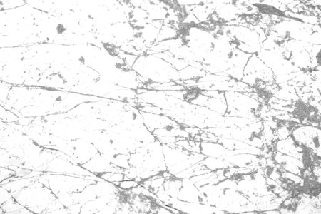 White marble texture abstract background pattern with high resolutionの写真素材