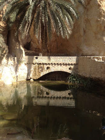 View of bridge reflected in lake under a palm treeの素材