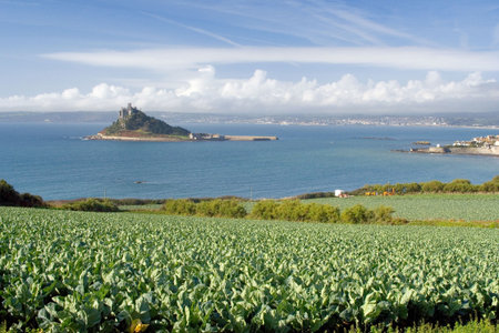 ST MICHAEL'S MOUNT, CORNWALL, UK - 6559