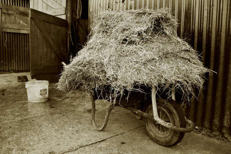 WHEELBARROW - 7061の写真素材