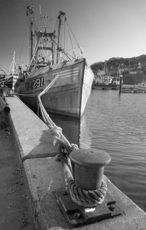 NEWLYN HARBOUR, CORNWALL, UK - 6937