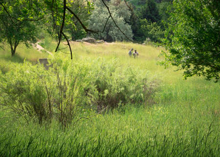 Boise, Idaho, USA - May 23 2018: Men hiking in the Boise foothillsのeditorial素材