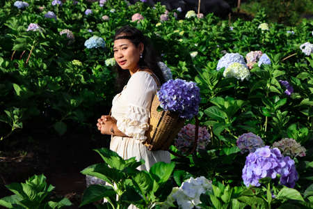 Asian girl Carry a basket to collect hydrangeas in the garden with pleasure.の写真素材
