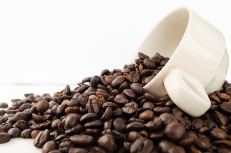 cup of coffee seedの写真素材