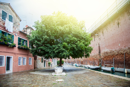 Tree and chair on streetのeditorial素材