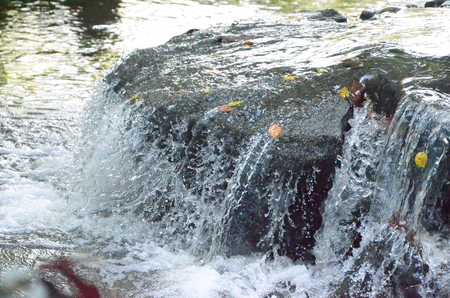 Water fallの写真素材