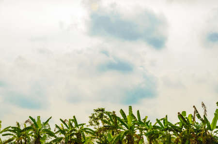landscape with sea, sky and beach, at sunny dayの写真素材