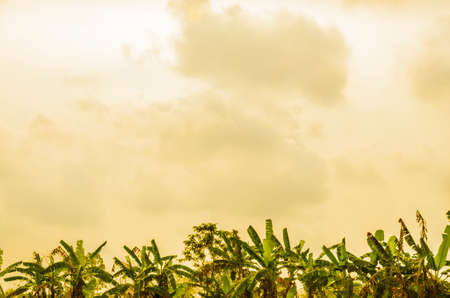 landscape with sea, sky and beach, at sunny dayの写真素材