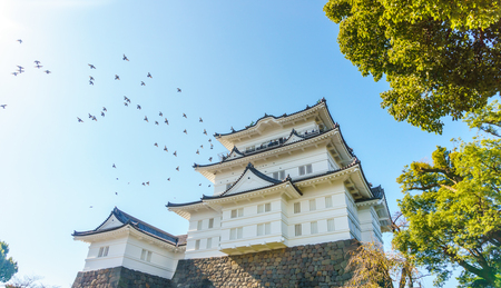 Odawara Castle at morning in autumn, Odawara, Kanagawa Prefecture, Japan.のeditorial素材