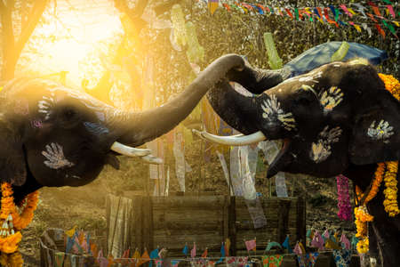 Songkran Festival Elephants of priceless Thailandの写真素材