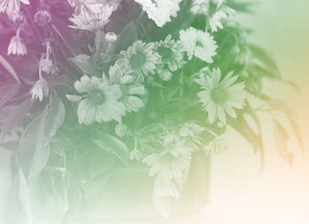 Bright Glowing Retro color of mixed beautiful flower busket.の写真素材