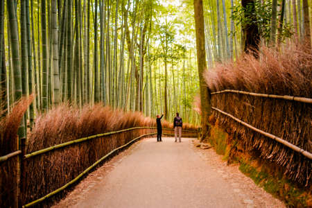 KYOTO, JAPAN - November 12: The path to bamboo forest in Kyoto, Japan on November 2015. Kyoto is one of the most famous tourist destination in Japan.のeditorial素材
