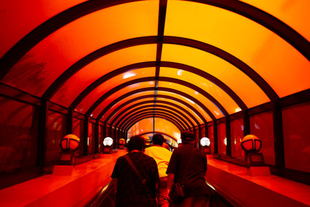 Bizarre escalator at the okinawan theme park ,okinawa world, that connect the cave to the land.
