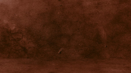 Grungy brown background of natural cement or stone old texture as a retro pattern wall. Conceptual wall banner, grunge, material,or construction.の写真素材