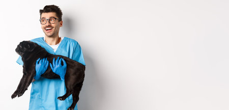 Vet clinic concept. Happy male doctor veterinarian holding cute black pug dog, smiling and looking left, standing over white backgroundの写真素材