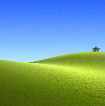 Beautiful landscape with green grass field and lone tree. Generative AI.の素材