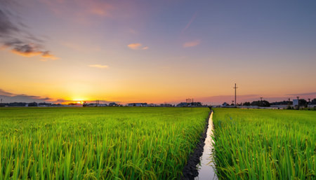 Beautiful green rice field in Beautiful sunrise. Generative AI.の素材