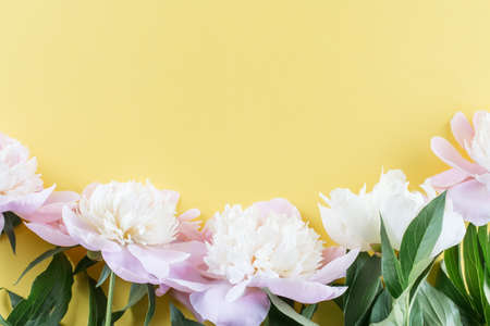 Pastel pink peony flowers bouquet on yellow background. Flat lay, top view. Minimal floral flatlay concept.の写真素材