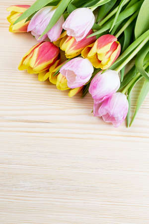 Red and pink tulips on wooden background closeupの写真素材