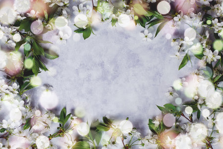 Spring cherry blossom. Cherry flowers flat on pastel background. Greeting card with white flowers ,...