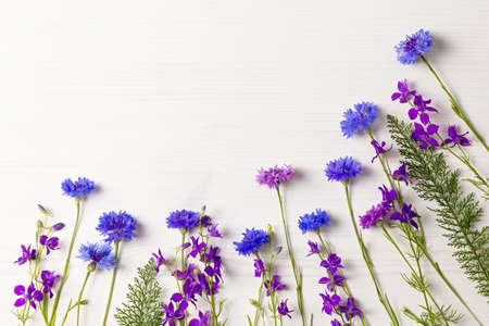 Beautiful blue and purple flowers frame flat lay on white wooden desk, copy spaceの写真素材