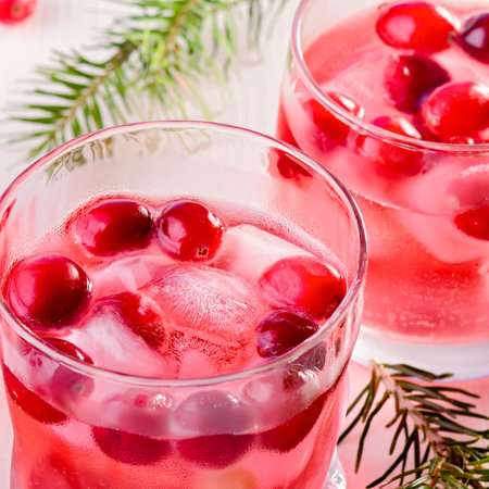 Winter cocktail with cranberry and ice on wooden backgroundの写真素材