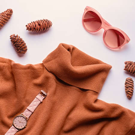 Woman caramel color turtleneck sweater lay out with pine cones, natural colors fashion conceptの写真素材