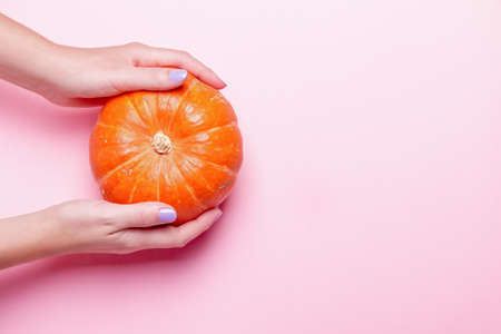 Woman manicured hands holding pumpkin. Background for Thanksgiving holiday or Halloween. Autumn compositionの写真素材