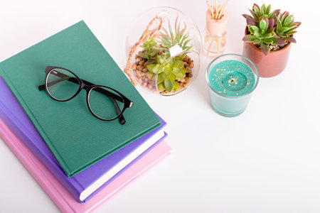 Multicolor books stack, house plants succulents and fragrant candle and sticks. Background for World...