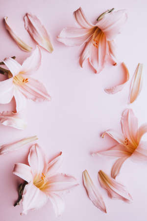 Floral pattern background. Pink lily flowers flat lay on pastel table top, spring card, top viewの写真素材