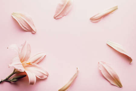Floral pattern background. Pink lily flowers flat lay on pastel table top, spring card, top viewの写真素材