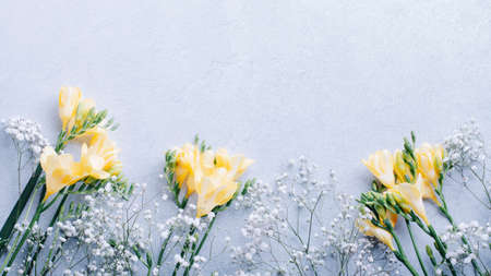 Easter creative card with quail eggs painted blue, feathers and gypsophila flowers flat lay, pastel background, hard light, harsch shadows, copy space.の写真素材