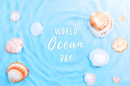 Beautiful crystal clear water swirling, sea shells underwater. World ocean day card with text, shells and blue water. Global environmental problem conceptの写真素材