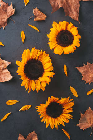 Autumn background with natural dried leaves and sunflowers on dark grey stone top, top view, copy space. Fall, Thanksgiving background, cozy flat layの写真素材