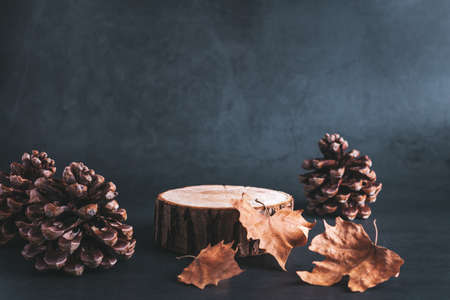 Wooden podium or stand for product showcase with cones and dry leaves on grey stone background, dark still lifeの写真素材
