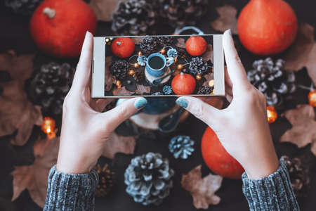 Woman taking photo of Thanksgiving flat lay with pumpkins and conesの写真素材